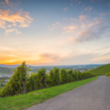 Dämmerung im Weinberg