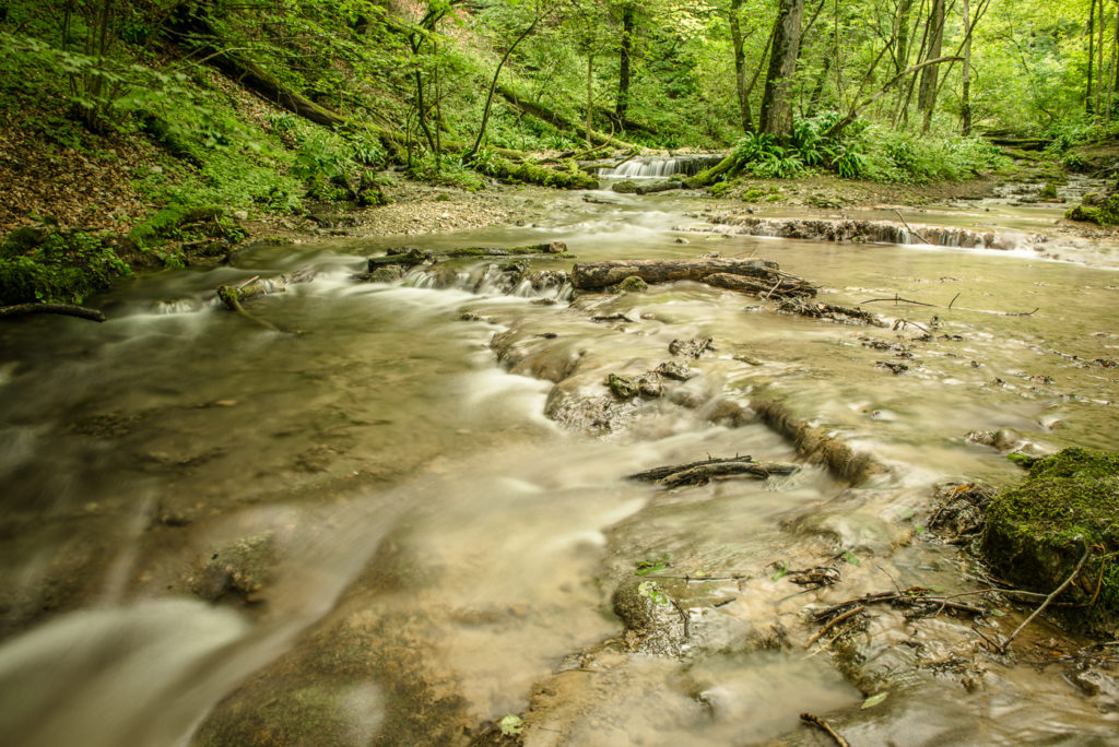 Brühlbach am Uracher Wasserfall