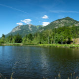 Moorweiher bei Oberstdorf Allgäu