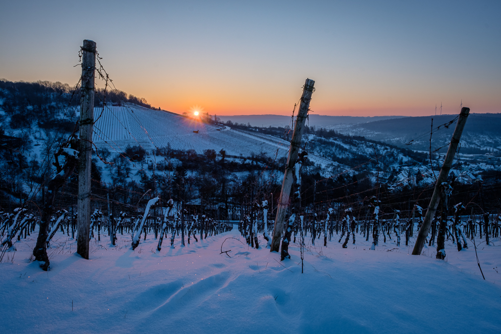 Weinberg im Winter mit Schnee